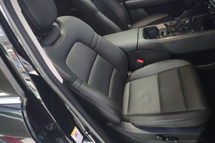 Used Haval H Dog New Energy 2024 Hi4 102km Trend Electric Version Plus Right Front Seat