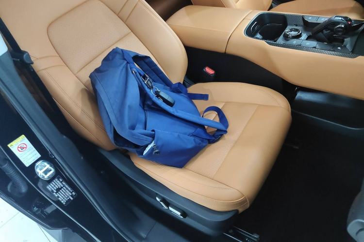 Used Haval H Dog New Energy 2024 Hi4 102km Trend Electric Version Plus Right Front Seat