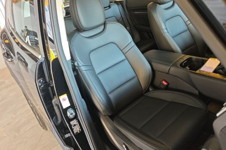 Used Haval H Dog New Energy 2024 Hi4 102km Trend Electric Version Plus Right Front Seat