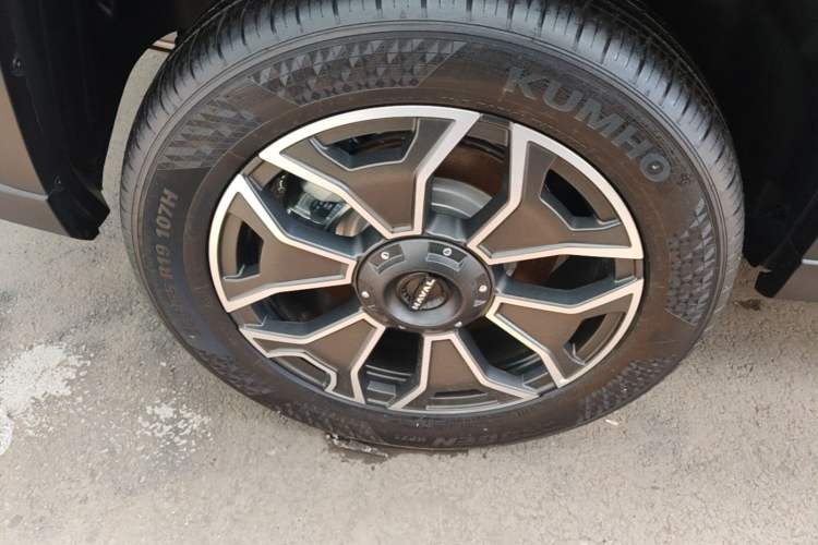 Used Haval H Dog New Energy 2024 Hi4 102km Trend Electric Version Plus Right Rear Wheel Hub