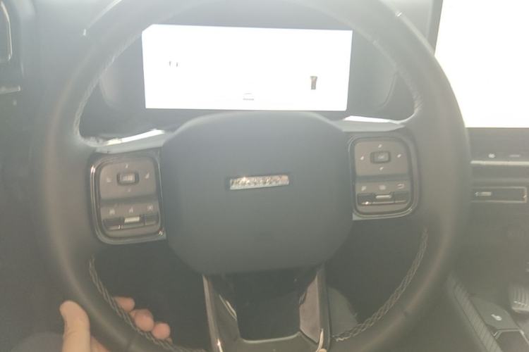Used Haval H Dog New Energy 2024 Hi4 102km Trend Electric Version Plus Steering Wheel
