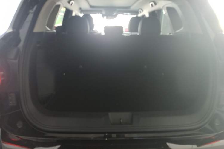 Used Haval H Dog New Energy 2024 Hi4 102km Trend Electric Version Plus Trunk