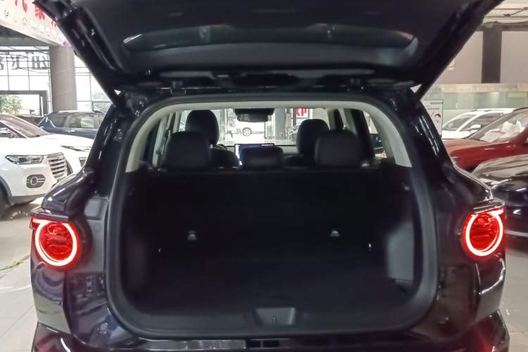 Used Haval H Dog New Energy 2024 Hi4 102km Trend Electric Version Plus Trunk