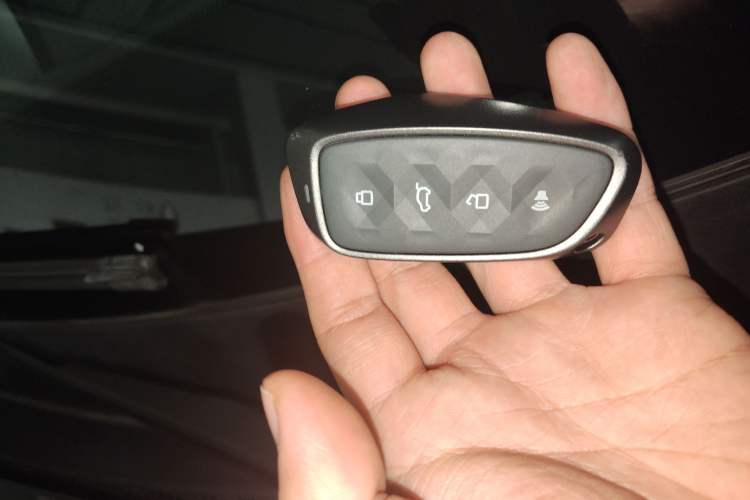 Used Haval H Dog New Energy 2024 Hi4 102km Trend Electric Version Plus Vehicle Key