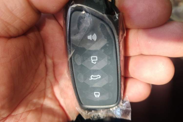 Used Haval H Dog New Energy 2024 Hi4 102km Trend Electric Version Plus Vehicle Key