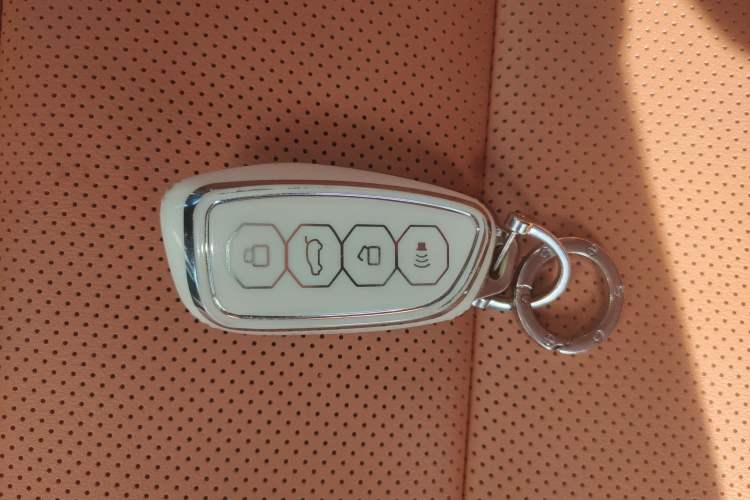 Used Haval H Dog New Energy 2024 Hi4 102km Trend Electric Version Plus Vehicle Key