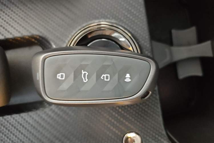 Used Haval H Dog New Energy 2024 Hi4 102km Trend Electric Version Plus Vehicle Key