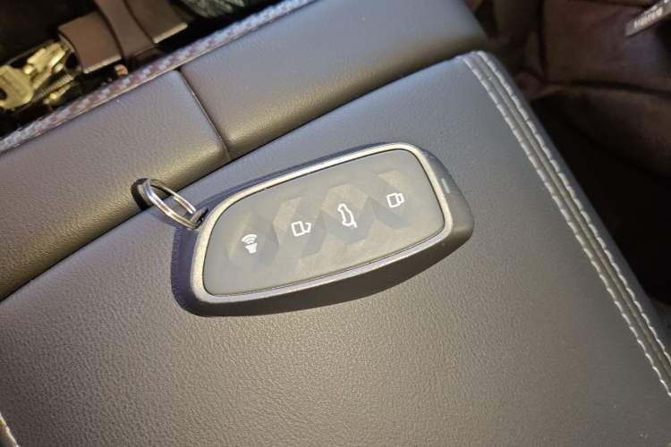 Used Haval H Dog New Energy 2024 Hi4 102km Trend Electric Version Plus Vehicle Key