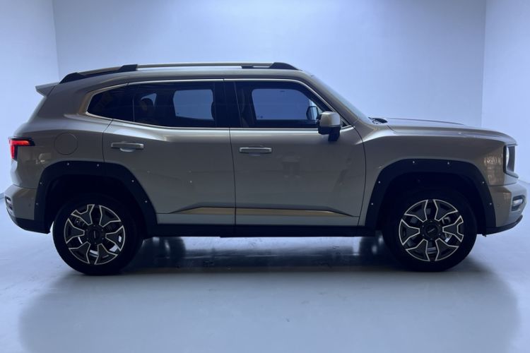 Used Haval H Dog New Energy 2024 Hi4 102km Trend Electric Version Plus Exterior 1
