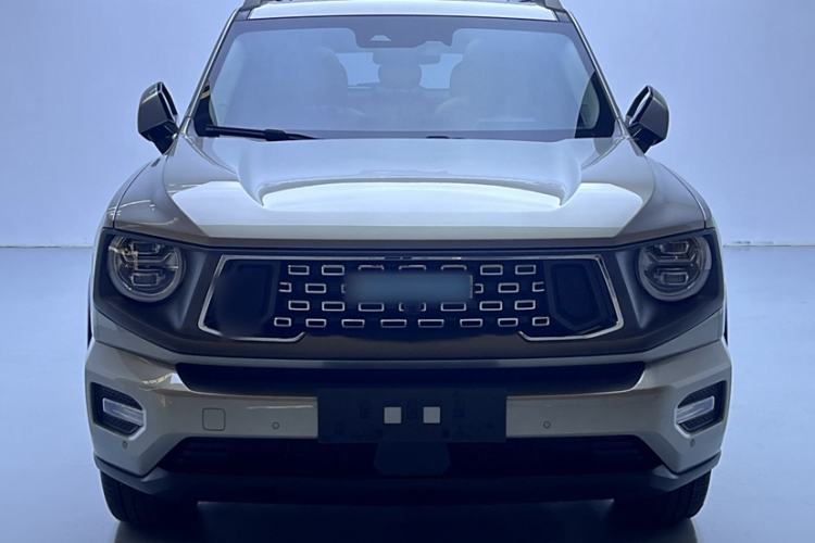 Used Haval H Dog New Energy 2024 Hi4 102km Trend Electric Version Plus Exterior 5
