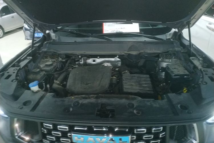Used Haval H Dog New Energy 2024 Hi4 102km Trend Electric Version Plus Engine Bay