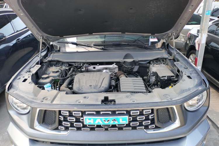 Used Haval H Dog New Energy 2024 Hi4 102km Trend Electric Version Plus Engine Bay