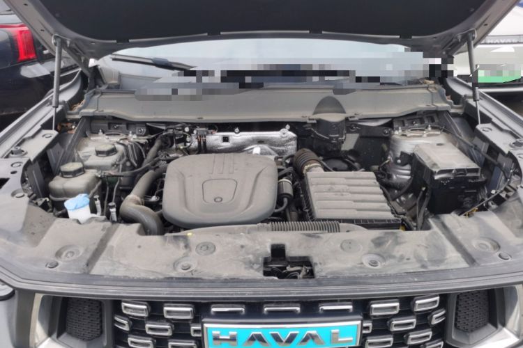 Used Haval H Dog New Energy 2024 Hi4 102km Trend Electric Version Plus Engine Bay