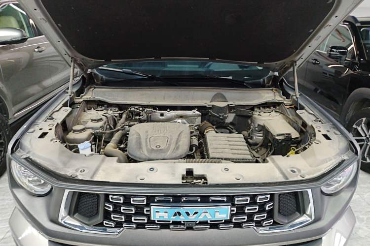 Used Haval H Dog New Energy 2024 Hi4 102km Trend Electric Version Plus Engine Bay