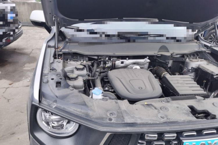 Used Haval H Dog New Energy 2024 Hi4 102km Trend Electric Version Plus Engine Bay Right