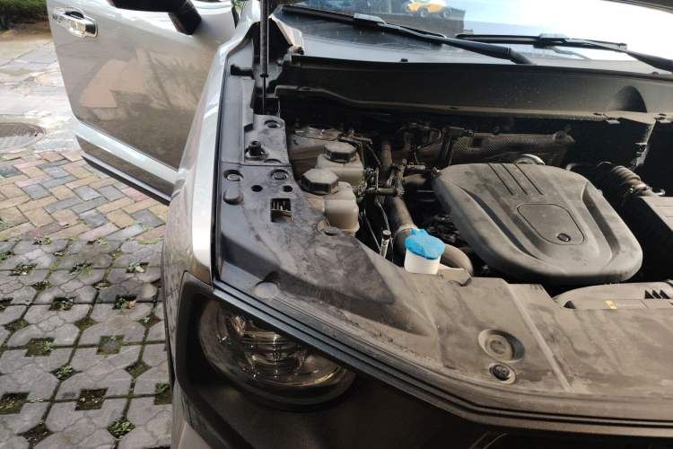 Used Haval H Dog New Energy 2024 Hi4 102km Trend Electric Version Plus Engine Bay Right