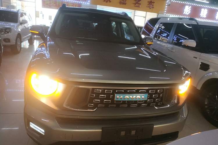 Used Haval H Dog New Energy 2024 Hi4 102km Trend Electric Version Plus Exterior 1
