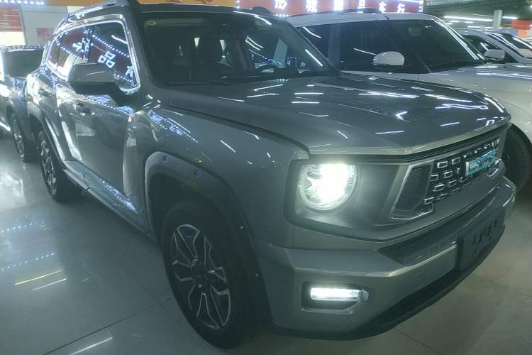 Used Haval H Dog New Energy 2024 Hi4 102km Trend Electric Version Plus Exterior 2