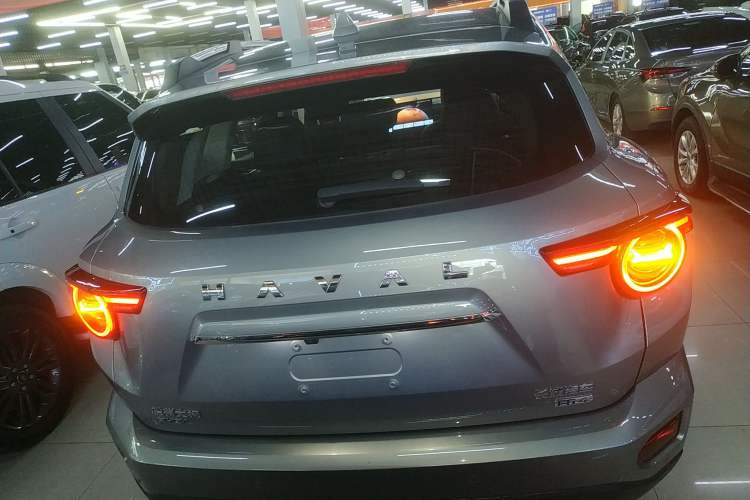 Used Haval H Dog New Energy 2024 Hi4 102km Trend Electric Version Plus Exterior 4