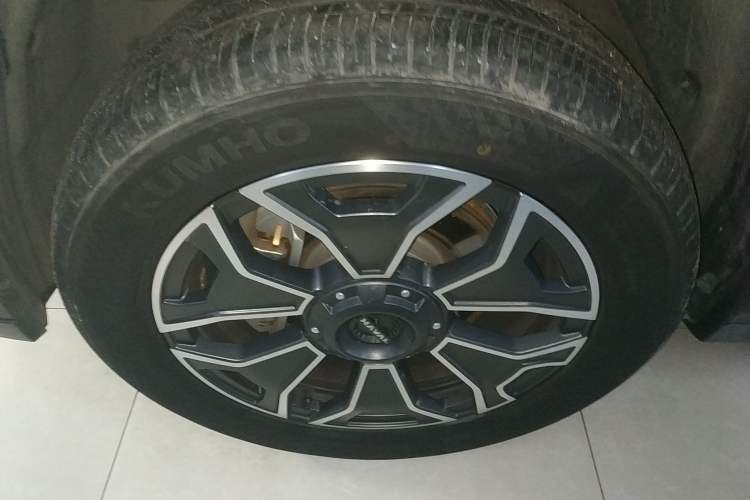 Used Haval H Dog New Energy 2024 Hi4 102km Trend Electric Version Plus Exterior 7