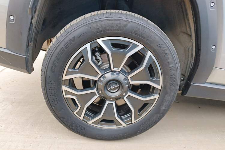Used Haval H Dog New Energy 2024 Hi4 102km Trend Electric Version Plus Exterior 8