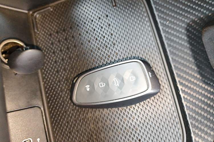 Used Haval H Dog New Energy 2024 Hi4 102km Trend Electric Version Plus Interior 1