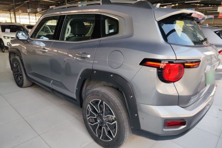 Used Haval H Dog New Energy 2024 Hi4 102km Trend Electric Version Plus Left Side