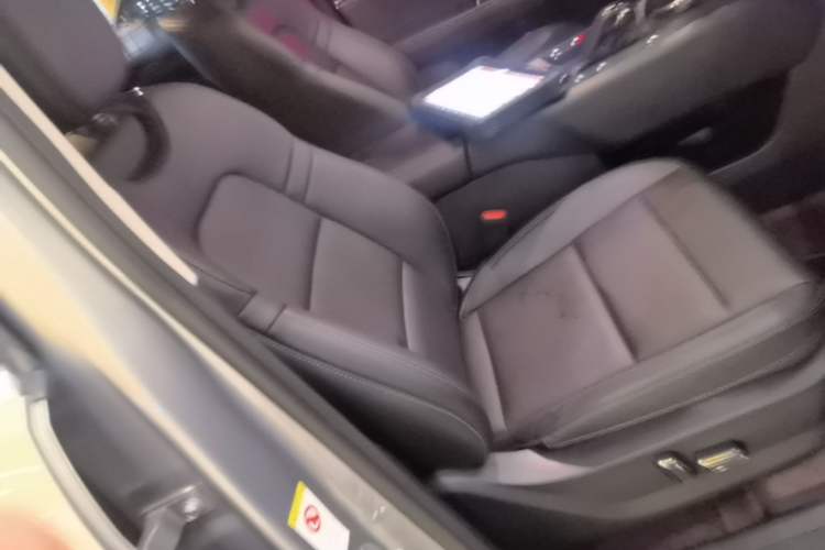 Used Haval H Dog New Energy 2024 Hi4 102km Trend Electric Version Plus Right Front Seat