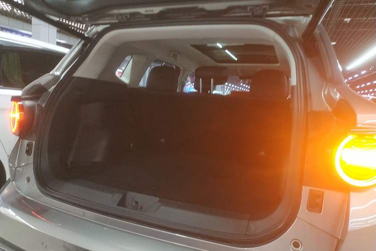 Used Haval H Dog New Energy 2024 Hi4 102km Trend Electric Version Plus Trunk