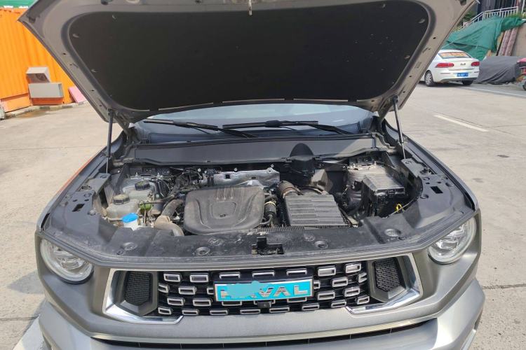 Used Haval H Dog New Energy 2024 Hi4 102km Trend Electric Version Plus Engine Bay