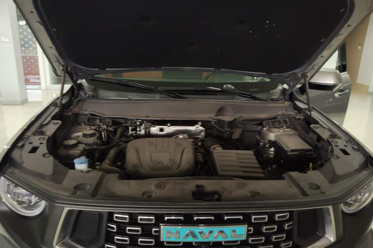 Used Haval H Dog New Energy 2024 Hi4 102km Trend Electric Version Plus Engine Bay