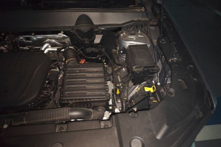 Used Haval H Dog New Energy 2024 Hi4 102km Trend Electric Version Plus Engine Bay Left