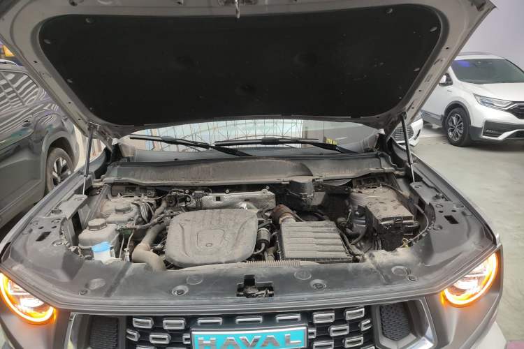 Used Haval H Dog New Energy 2024 Hi4 102km Trend Electric Version Plus Engine Bay