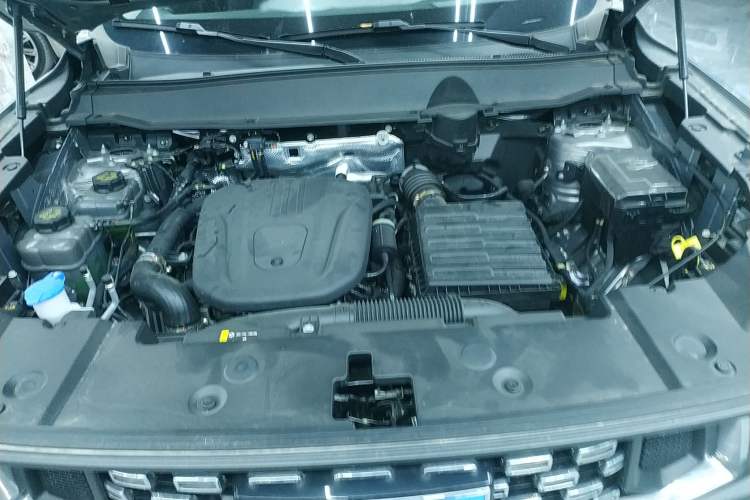 Used Haval H Dog New Energy 2024 Hi4 102km Trend Electric Version Plus Engine Bay