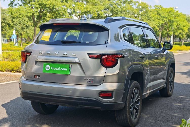 Used Haval H Dog New Energy 2024 Hi4 102km Trend Electric Version Plus Exterior 10
