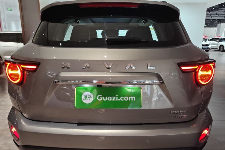 Used Haval H Dog New Energy 2024 Hi4 102km Trend Electric Version Plus Exterior 4