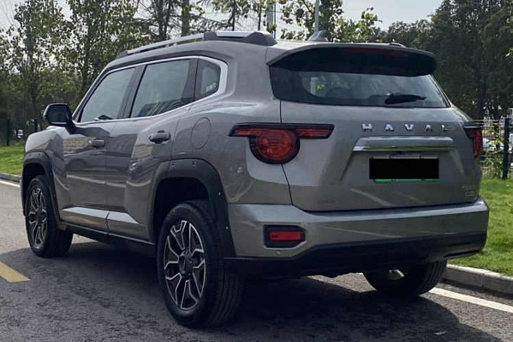 Used Haval H Dog New Energy 2024 Hi4 102km Trend Electric Version Plus Exterior 4