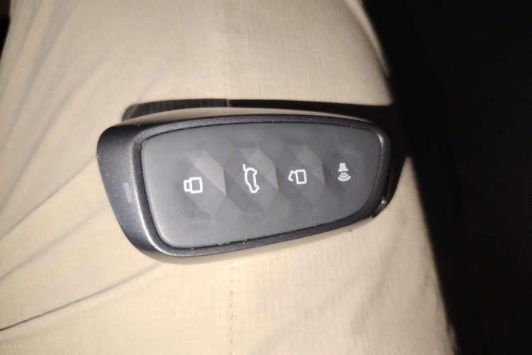 Used Haval H Dog New Energy 2024 Hi4 102km Trend Electric Version Plus Interior 1