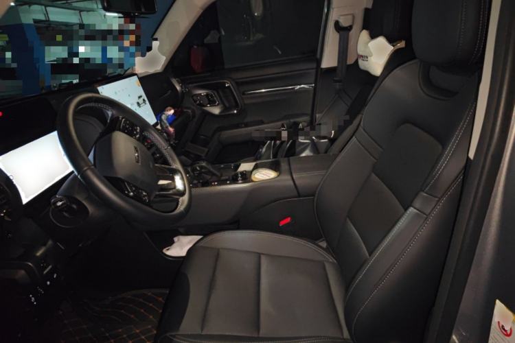 Used Haval H Dog New Energy 2024 Hi4 102km Trend Electric Version Plus Left Front Seat