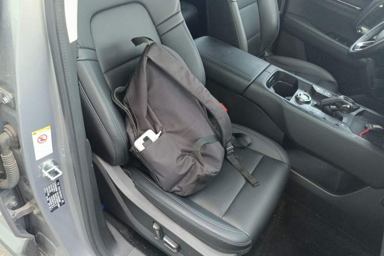 Used Haval H Dog New Energy 2024 Hi4 102km Trend Electric Version Plus Right Front Seat