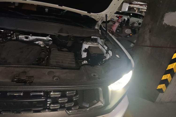 Used Haval H Dog New Energy 2024 Hi4 102km Trend Electric Version Plus Engine Bay Left