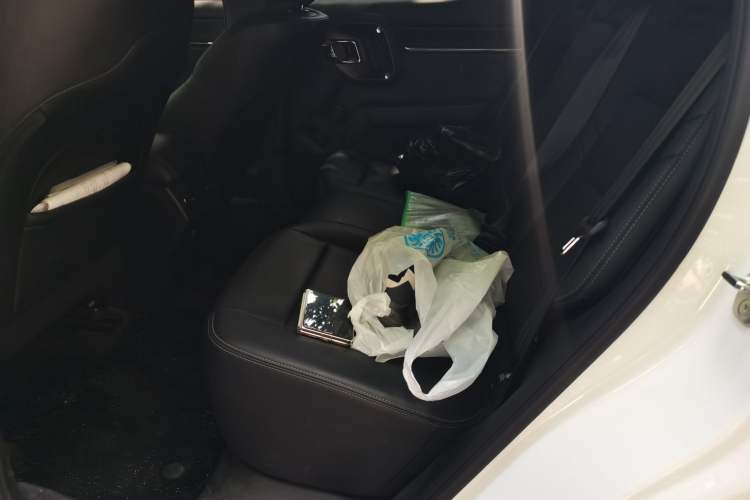 Used Haval H Dog New Energy 2024 Hi4 102km Trend Electric Version Plus Left Rear Seat
