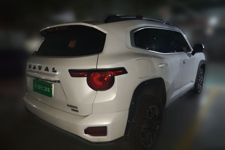 Used Haval H Dog New Energy 2024 Hi4 102km Trend Electric Version Plus Rear Right 45 Deg