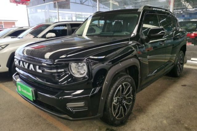 Used Haval H Dog New Energy 2026 Model Hi4 150km Trendy Electric Edition