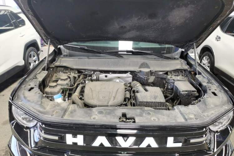 Used Haval H Dog New Energy 2026 Model Hi4 150km Trendy Electric Edition Engine Bay