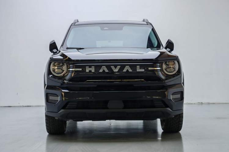 Used Haval H Dog New Energy 2026 Model Hi4 150km Trendy Electric Edition Exterior 1