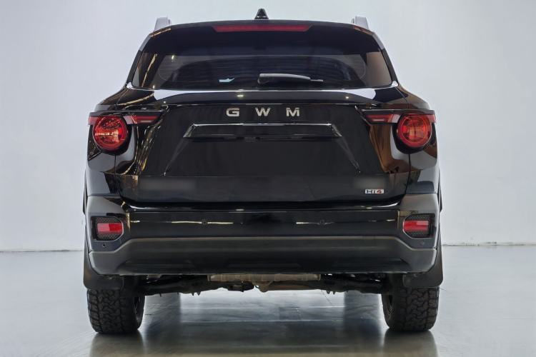 Used Haval H Dog New Energy 2026 Model Hi4 150km Trendy Electric Edition Exterior 4