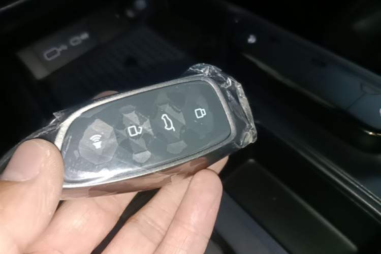 Used Haval H Dog New Energy 2026 Model Hi4 150km Trendy Electric Edition Interior 1