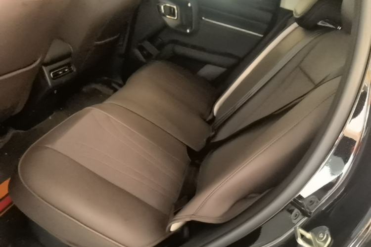 Used Haval H Dog New Energy 2026 Model Hi4 150km Trendy Electric Edition Left Rear Seat
