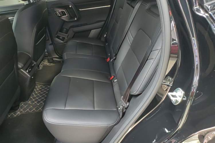 Used Haval H Dog New Energy 2026 Model Hi4 150km Trendy Electric Edition Left Rear Seat